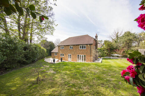 Property Image 10