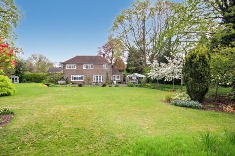Property Image 19