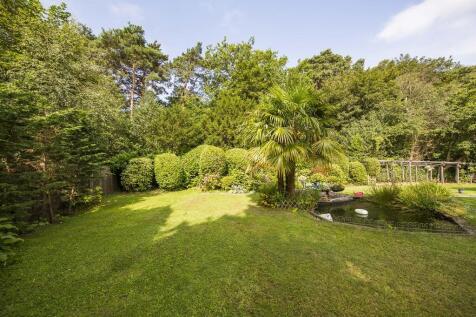 Property Image 24