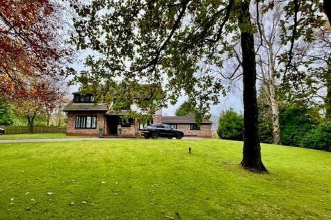 Long Meadow 2.jpg