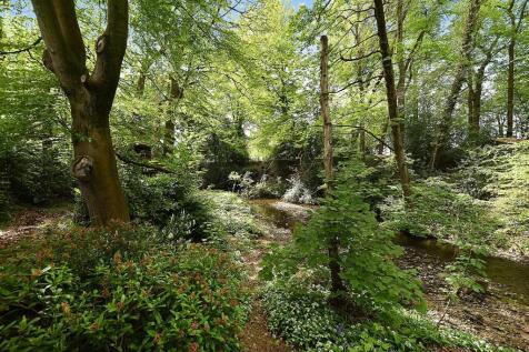 DSC_7294.jpg
