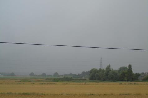 DSC01448_lge