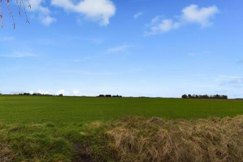 Field Views