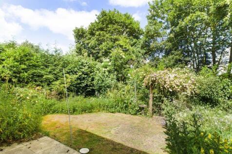Rear garden/grounds