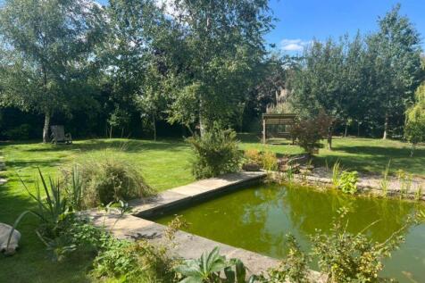 Rear garden and pond