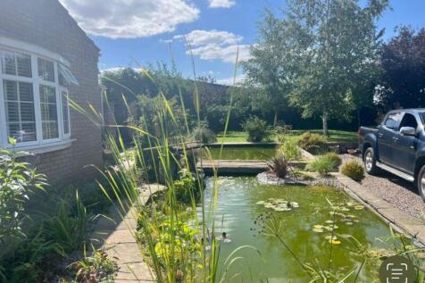 Pond