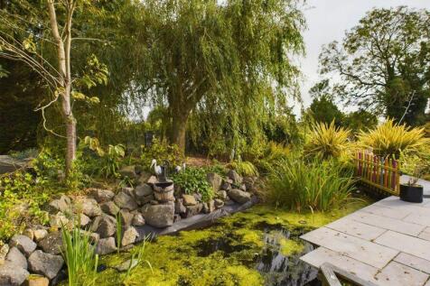 Pond