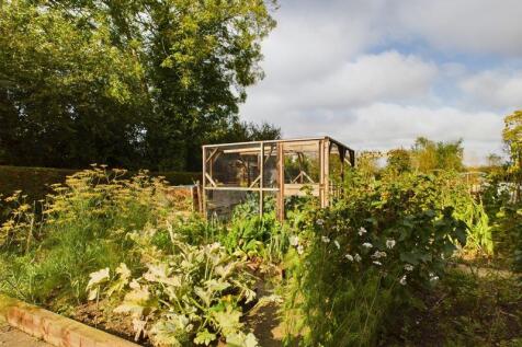 Vegetable Garden