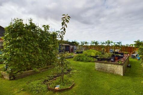 Vegetable Garden