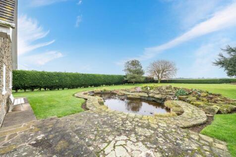 Ornamental pond