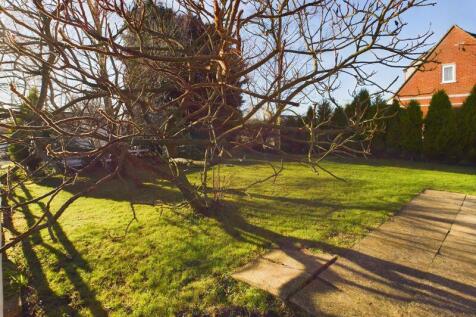 Initial Garden