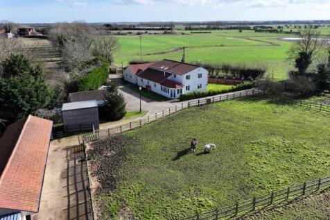 Aerial (Rear)