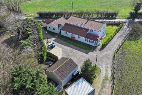 Aerial (Rear)