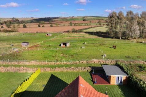 Open field views