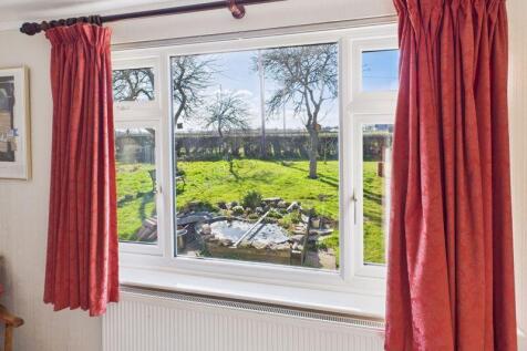 View over front garden