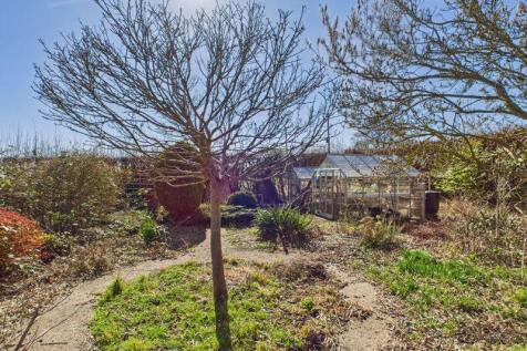 Rear gardens