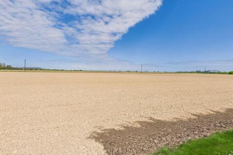 Open field views