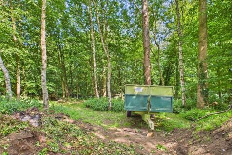 Woodland