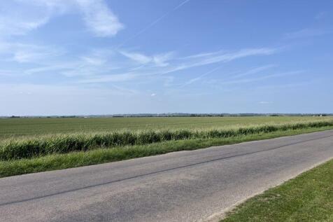 Open Field Views