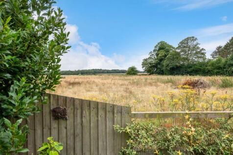 Open Field Views