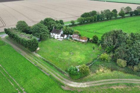 Aerial Image
