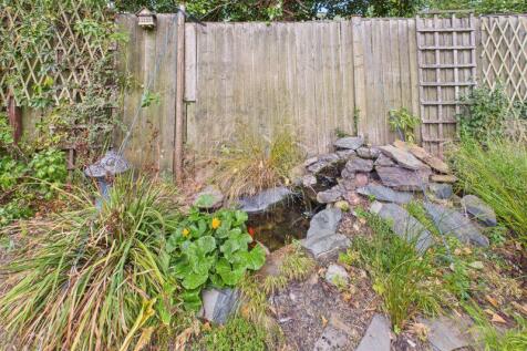 Pond 