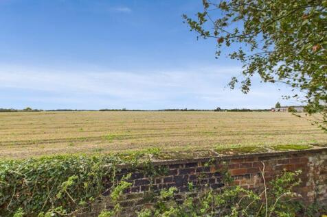 Open Field Views