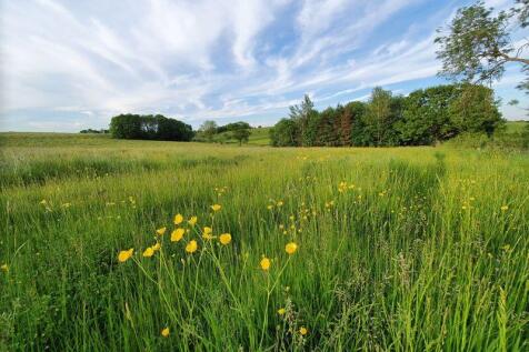Furze Hill Farm