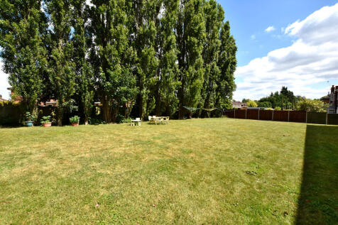 Communal Garden 1