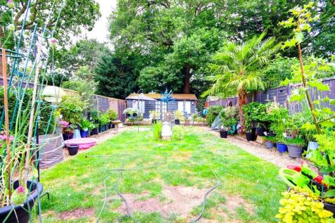 Garden 5