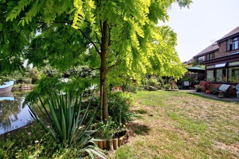 Garden 3