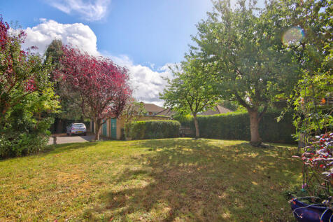 Communal Garden 3