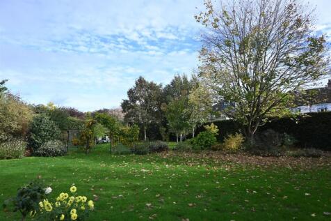Autumn rear garden 03.jpg