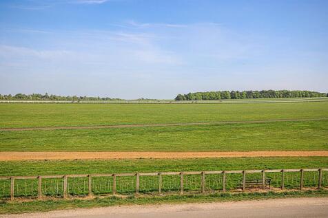 IMG_8620.jpg