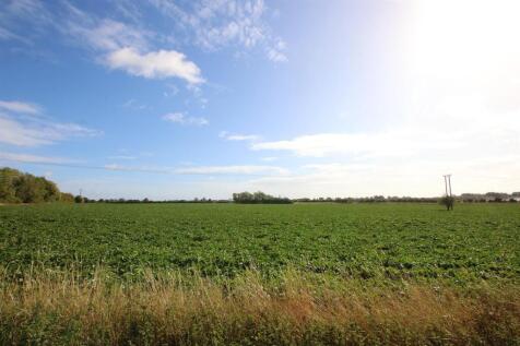 IMG_2269views.jpg