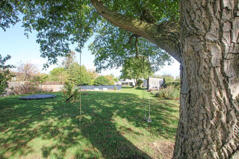 IMG_2270gdn.jpg