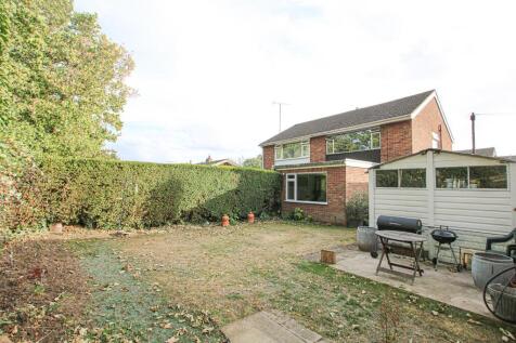 IMG_1978gdn.jpg