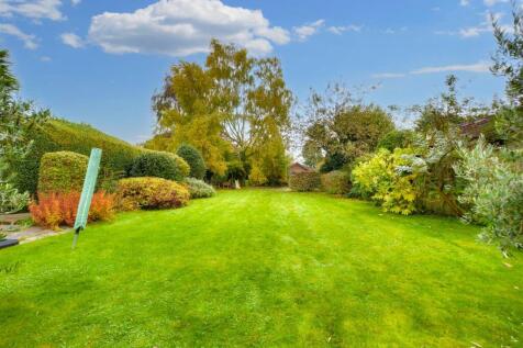 Garden_3.jpeg