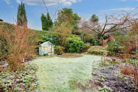 Garden_ (1).jpeg