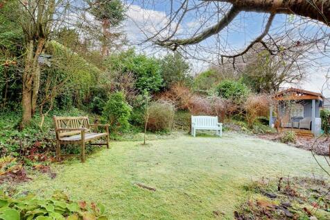 Garden_ (3).jpeg
