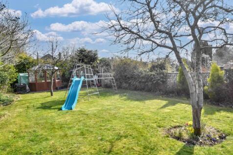 Garden_ (3).jpeg