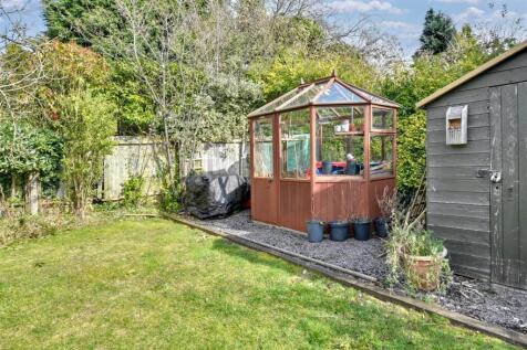 Garden_ (4).jpeg