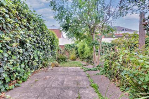 Garden_ (2).jpeg
