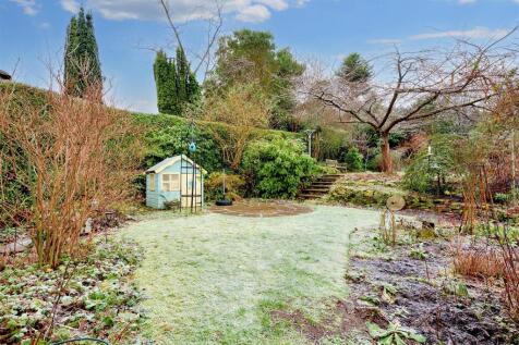 Garden_ (1).jpeg