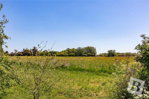 Overlooking Fields