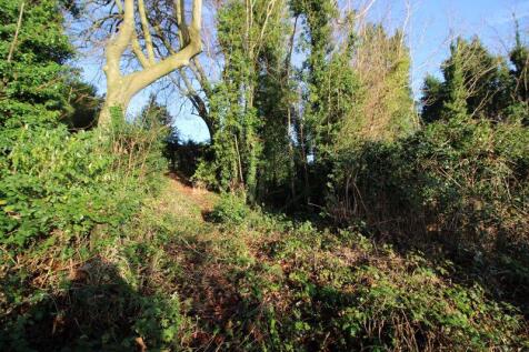 WOODLAND VIEW 