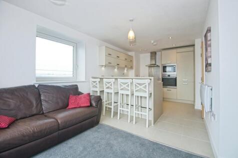 Living/Kitchen Area