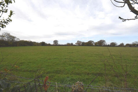 Field Views