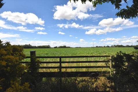 Field Views