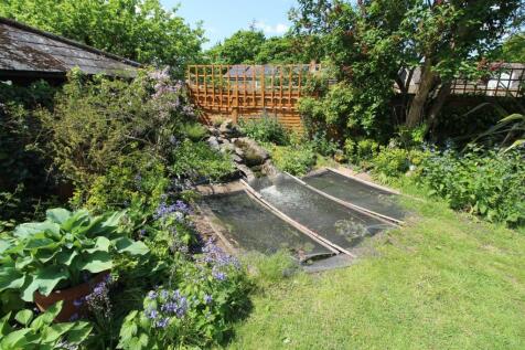 Pond